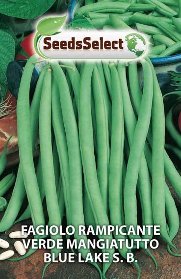 15 semi FAGIOLINO RAMPICANTE GARAFAL ORO MANGIATUTTO SENZA FILO 15 semi FAGIOLINO RAMPICANTE GARAFAL ORO MANGIATUTTO SENZA FILO