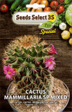 Load image into Gallery viewer, CACTUS (MAMMILARIA SP MIXED) (Bustina)