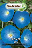 Load image into Gallery viewer, ipomea blu