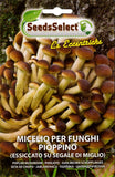 Load image into Gallery viewer, Micelio per Funghi Pioppino bustina gr 25