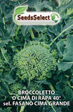 Load image into Gallery viewer, Broccoletto o Cima di Rapa 40° sel. Fasano Cima Grande