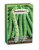 Load image into Gallery viewer, Fava Aguadulce Supersimonia a Lunghissimo Baccello