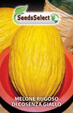 Carica l&#39;immagine nel visualizzatore di Gallery, Melone rugoso di Cosenza giallo