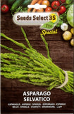Load image into Gallery viewer, seme di asparago selvatico