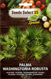 Carica l&#39;immagine nel visualizzatore di Gallery, seme di palma washingtonia robusta